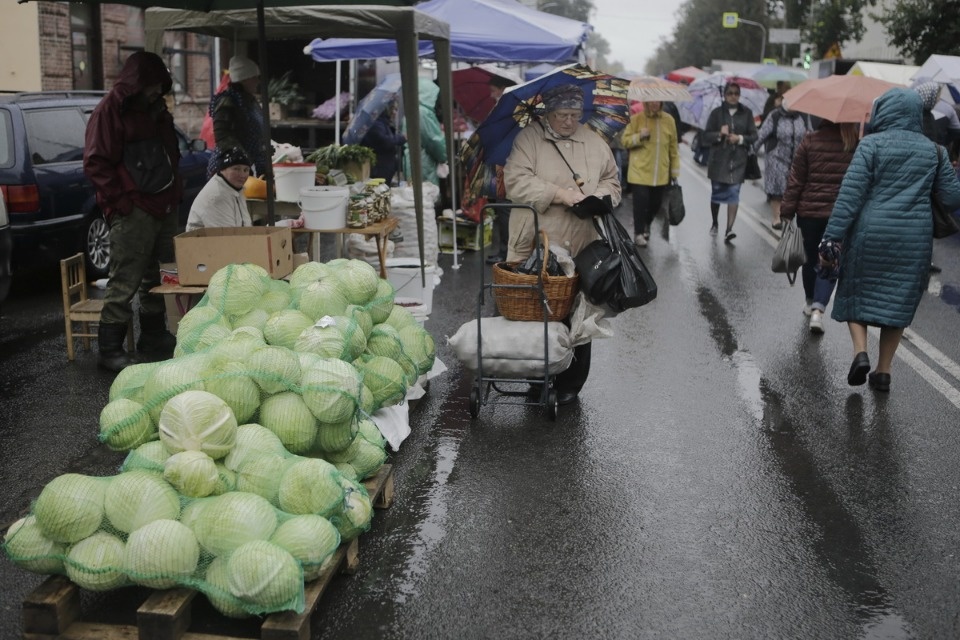 Сельскохозяйственная ярмарка Псковского района Сельскохозяйственная ярмарка Псковского района
