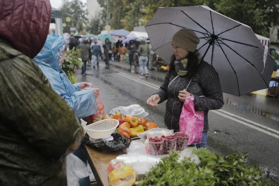 Сельскохозяйственная ярмарка Псковского района Сельскохозяйственная ярмарка Псковского района
