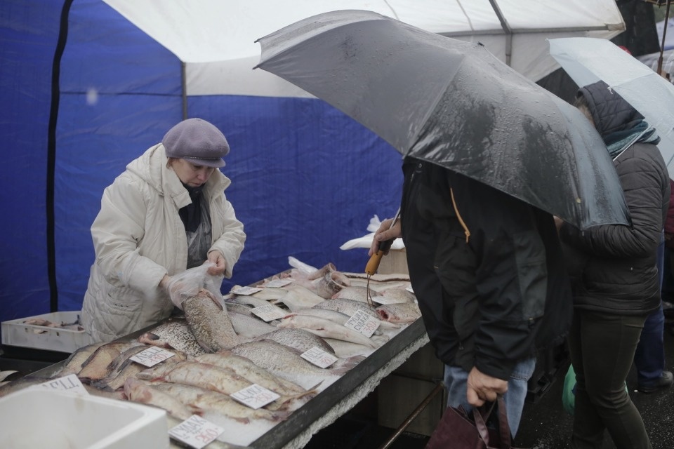 Сельскохозяйственная ярмарка Псковского района Сельскохозяйственная ярмарка Псковского района
