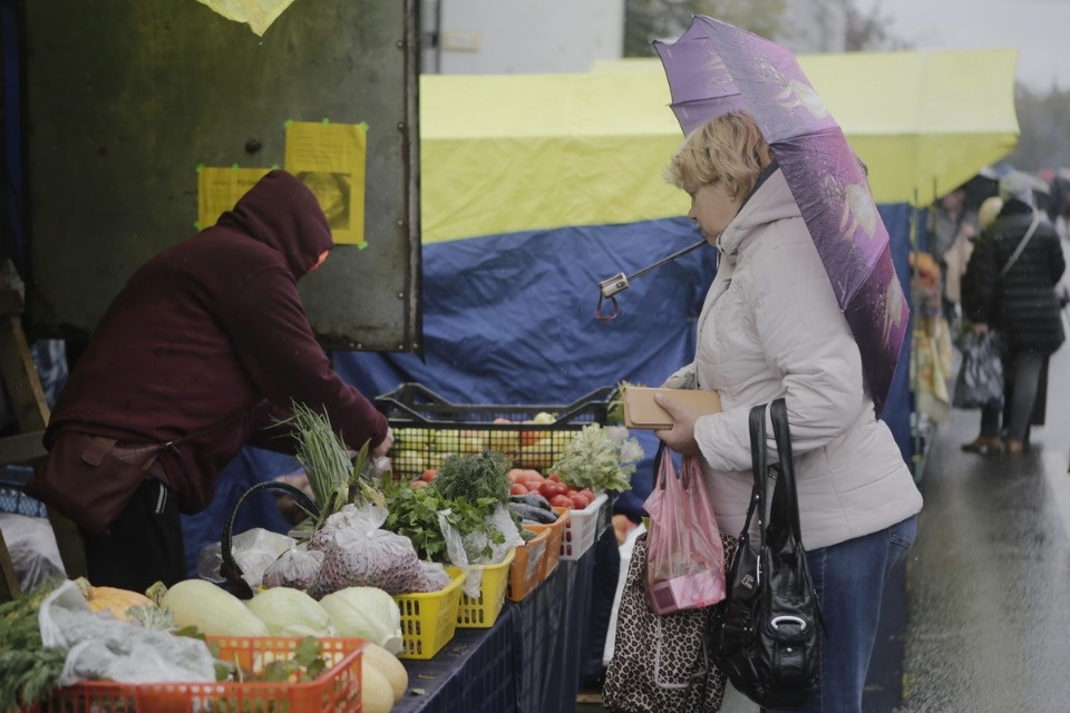 Сельскохозяйственная ярмарка Псковского района Сельскохозяйственная ярмарка Псковского района