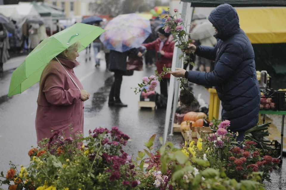 Сельскохозяйственная ярмарка Псковского района Сельскохозяйственная ярмарка Псковского района