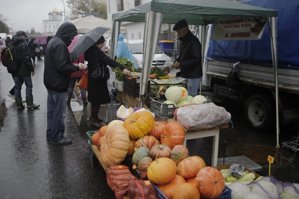 Сельскохозяйственная ярмарка Псковского района Сельскохозяйственная ярмарка Псковского района