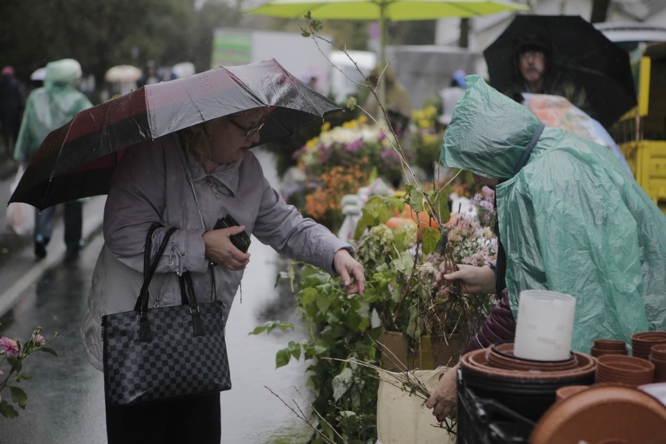 Сельскохозяйственная ярмарка Псковского района Сельскохозяйственная ярмарка Псковского района