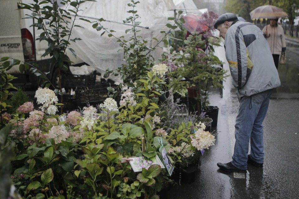 Сельскохозяйственная ярмарка Псковского района Сельскохозяйственная ярмарка Псковского района