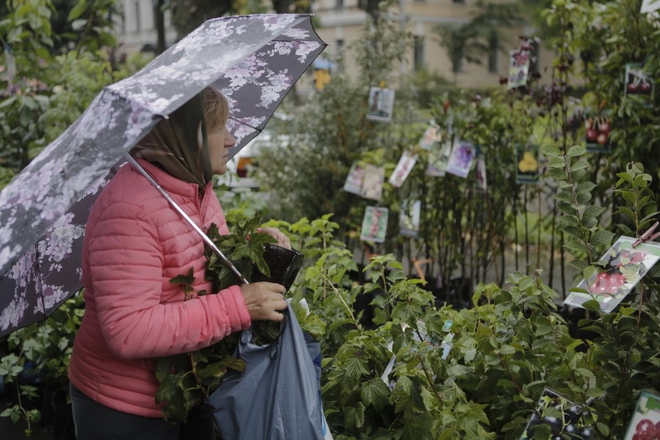 Сельскохозяйственная ярмарка Псковского района Сельскохозяйственная ярмарка Псковского района