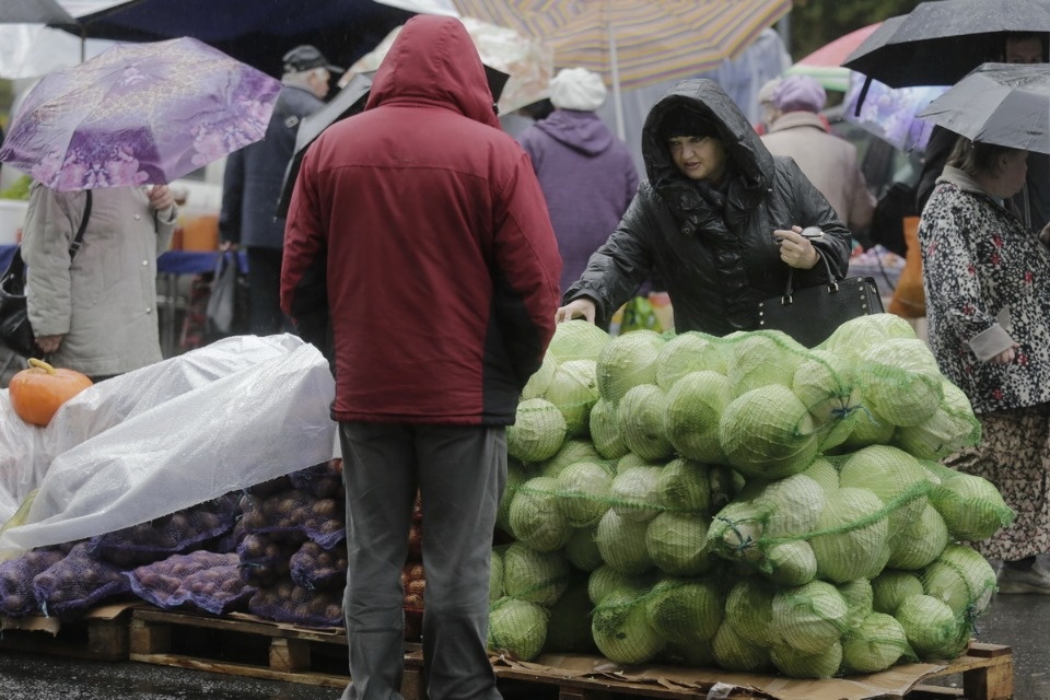Сельскохозяйственная ярмарка Псковского района Сельскохозяйственная ярмарка Псковского района