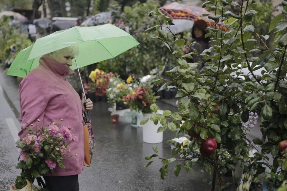 Что покупали на ярмарке в Пскове (ФОТОРЕПОРТАЖ)