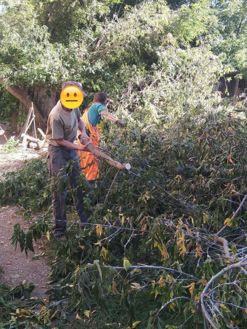 Подметают улицу Свободы - как в разных районах проходят обязательные работы