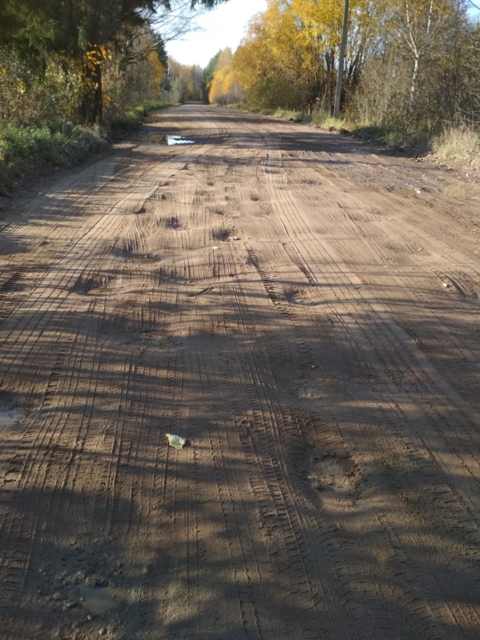 В Гдовском районе рабочие вышли на дорогу из-за поста в соцсетях