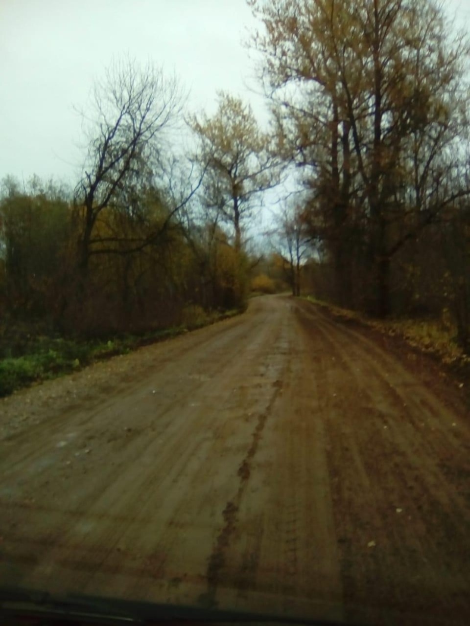 В Гдовском районе рабочие вышли на дорогу из-за поста в соцсетях