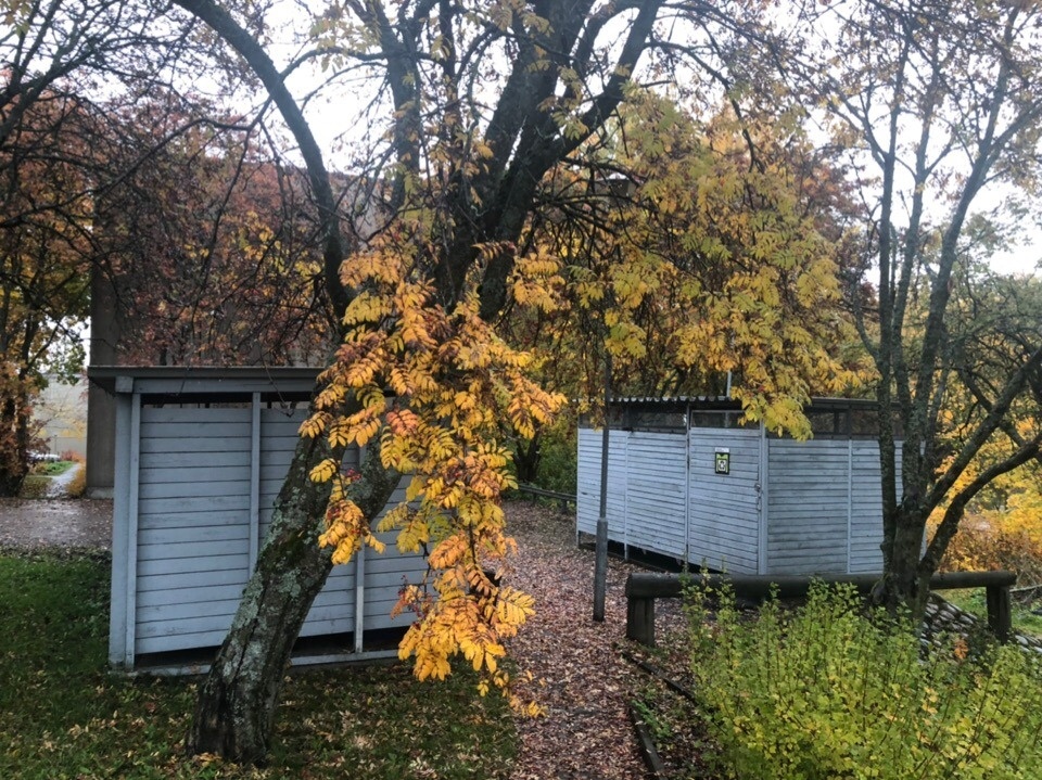 Муки совести, косые взгляды и штрафы