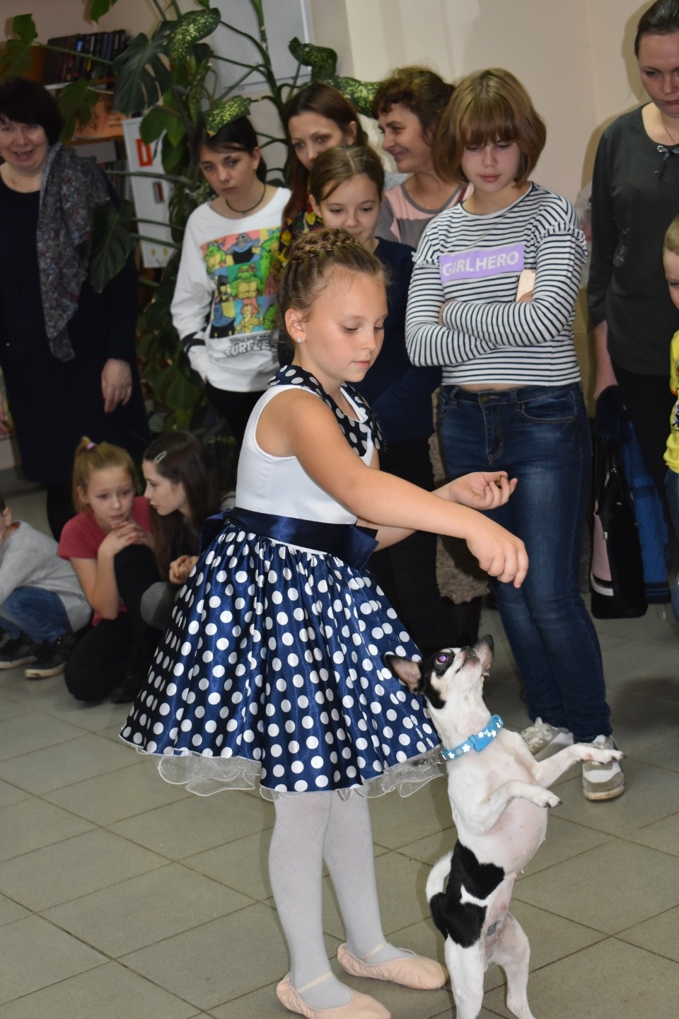 Более 35 килограмм корма собрали для бездомных животных псковские дети