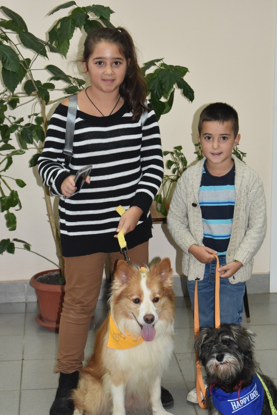 Более 35 килограмм корма собрали для бездомных животных псковские дети