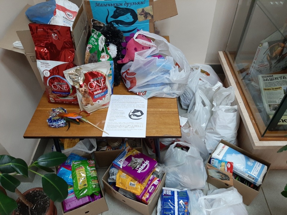 Более 35 килограмм корма собрали для бездомных животных псковские дети