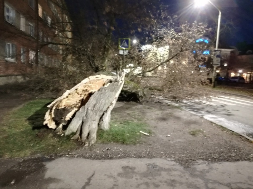 Очевидцы делятся в соцсетях фотографиями разрушительного ветра в Псковской области (ОБНОВЛЯЕТСЯ)