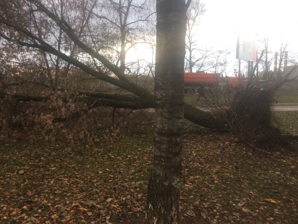 Очевидцы делятся в соцсетях фотографиями разрушительного ветра в Псковской области (ОБНОВЛЯЕТСЯ)
