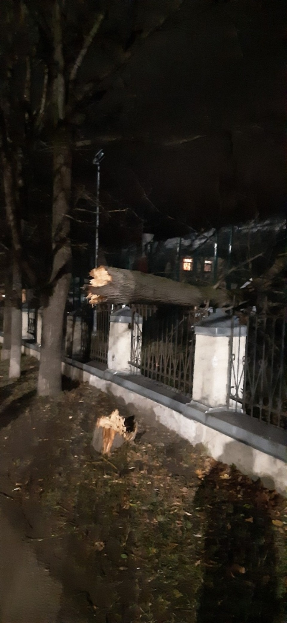 Очевидцы делятся в соцсетях фотографиями разрушительного ветра в Псковской области (ОБНОВЛЯЕТСЯ)