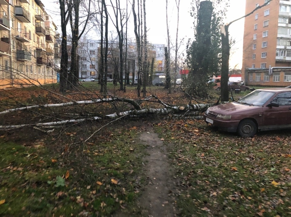 Очевидцы делятся в соцсетях фотографиями разрушительного ветра в Псковской области (ОБНОВЛЯЕТСЯ)