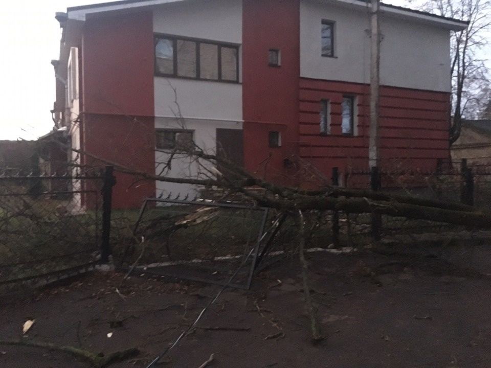 Очевидцы делятся в соцсетях фотографиями разрушительного ветра в Псковской области (ОБНОВЛЯЕТСЯ)