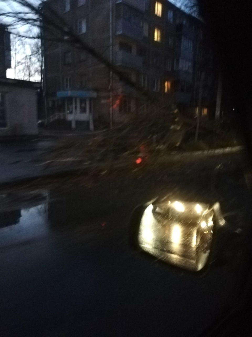 Очевидцы делятся в соцсетях фотографиями разрушительного ветра в Псковской области (ОБНОВЛЯЕТСЯ)