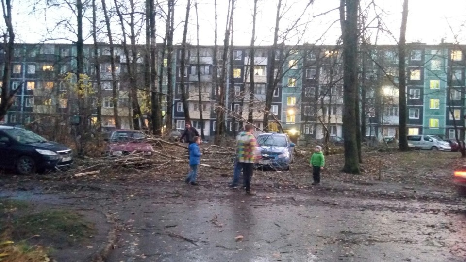 Очевидцы делятся в соцсетях фотографиями разрушительного ветра в Псковской области (ОБНОВЛЯЕТСЯ)