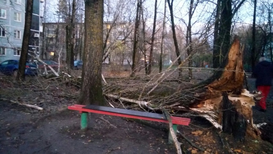 Очевидцы делятся в соцсетях фотографиями разрушительного ветра в Псковской области (ОБНОВЛЯЕТСЯ)
