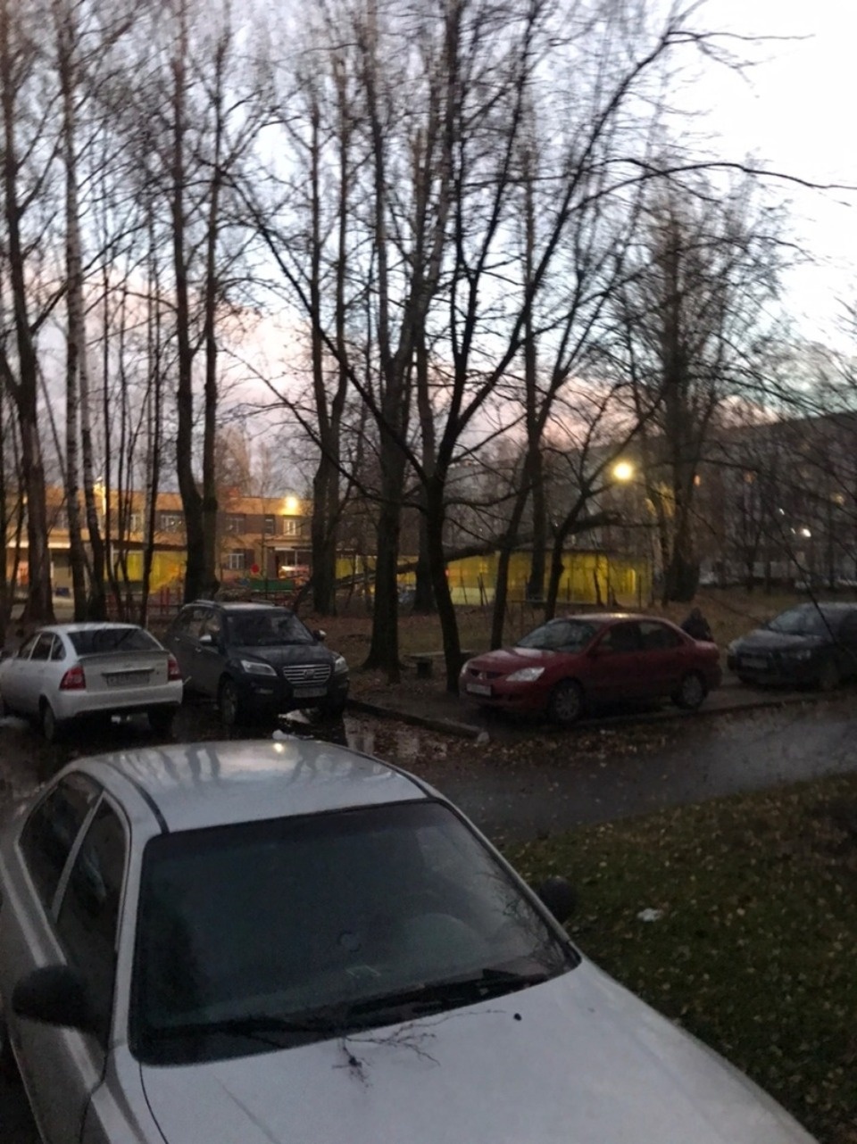 Очевидцы делятся в соцсетях фотографиями разрушительного ветра в Псковской области (ОБНОВЛЯЕТСЯ)
