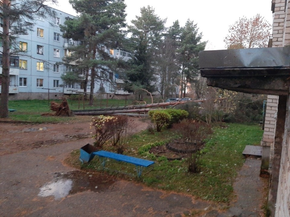 Очевидцы делятся в соцсетях фотографиями разрушительного ветра в Псковской области (ОБНОВЛЯЕТСЯ)