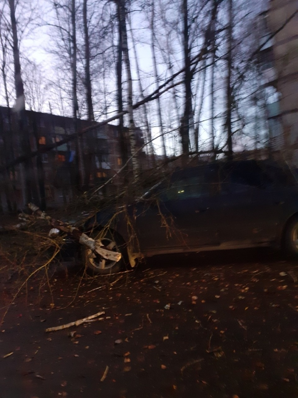 Очевидцы делятся в соцсетях фотографиями разрушительного ветра в Псковской области (ОБНОВЛЯЕТСЯ)