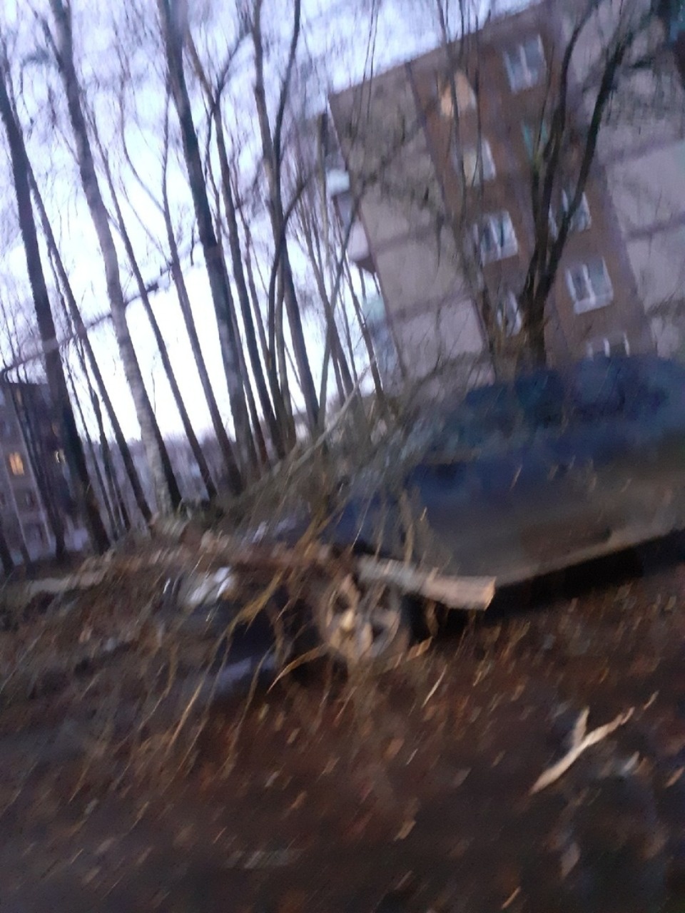 Очевидцы делятся в соцсетях фотографиями разрушительного ветра в Псковской области (ОБНОВЛЯЕТСЯ)