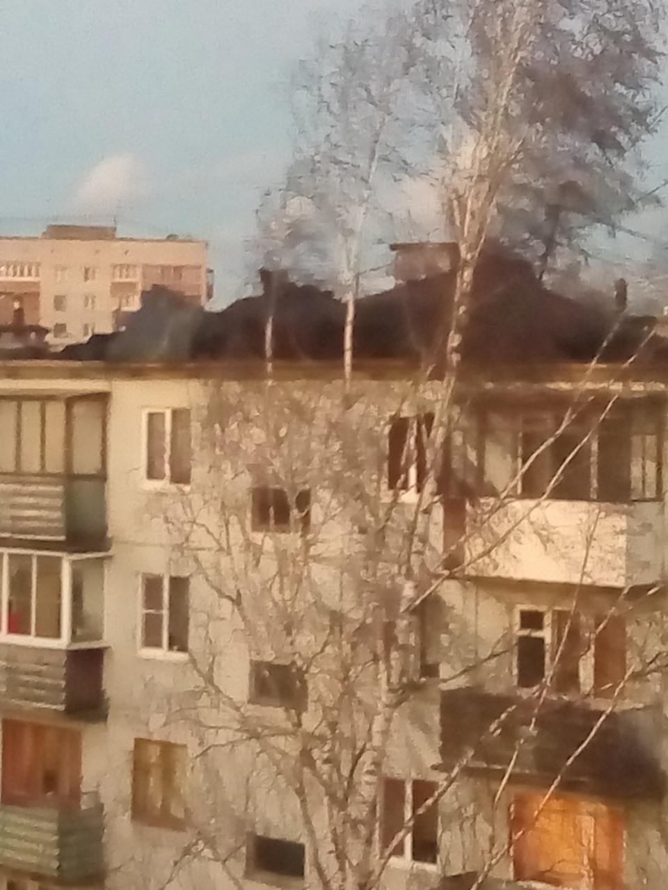 Очевидцы делятся в соцсетях фотографиями разрушительного ветра в Псковской области (ОБНОВЛЯЕТСЯ)