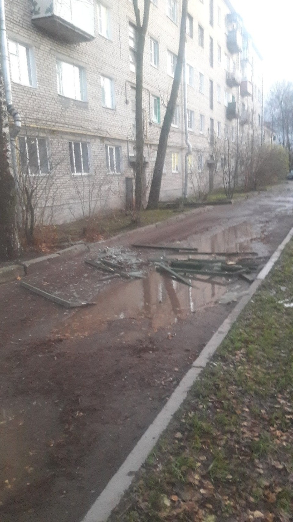 Очевидцы делятся в соцсетях фотографиями разрушительного ветра в Псковской области (ОБНОВЛЯЕТСЯ)