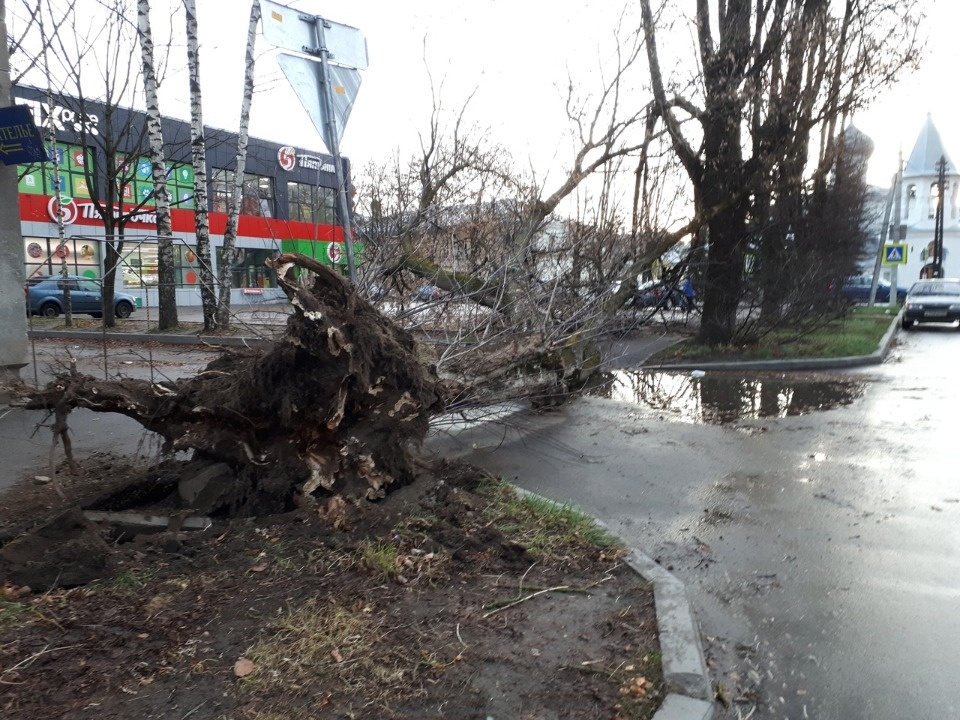 Очевидцы делятся в соцсетях фотографиями разрушительного ветра в Псковской области (ОБНОВЛЯЕТСЯ)