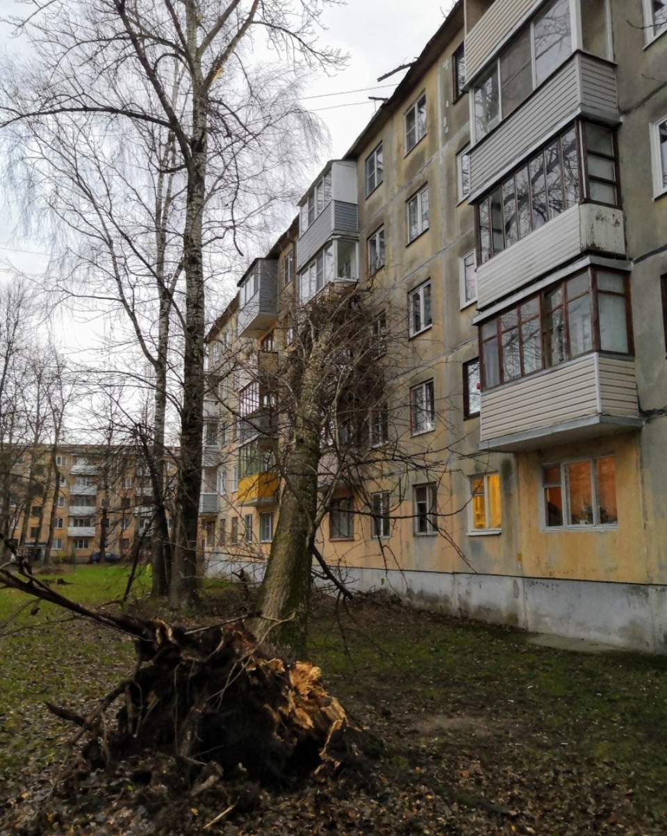 Очевидцы делятся в соцсетях фотографиями разрушительного ветра в Псковской области (ОБНОВЛЯЕТСЯ)