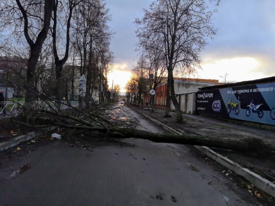Очевидцы делятся в соцсетях фотографиями разрушительного ветра в Псковской области (ОБНОВЛЯЕТСЯ)