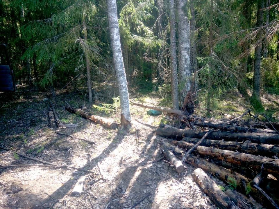 Похозяйничали