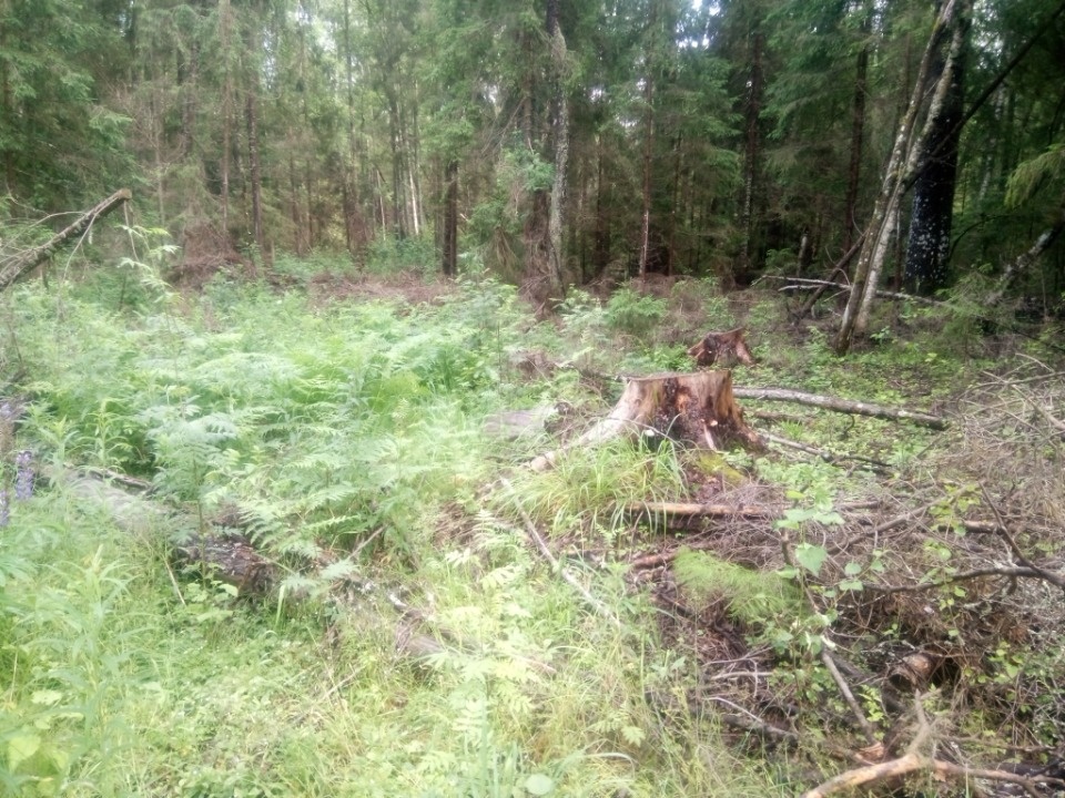 Похозяйничали