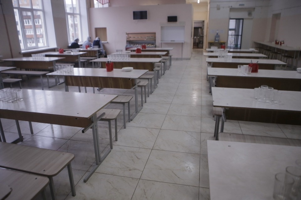 Депутаты проверили, как в школах и детсадах Пскова тратят сэкономленные ими деньги