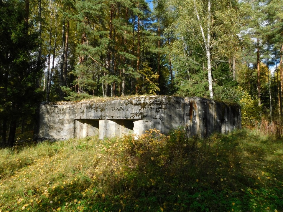 По забытым крепостям