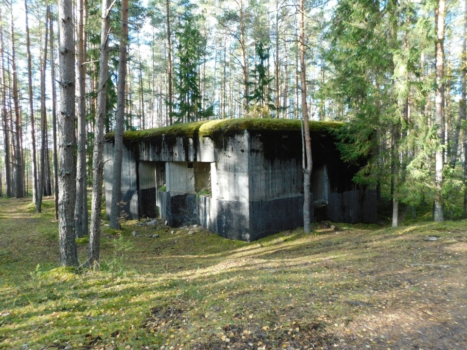 По забытым крепостям