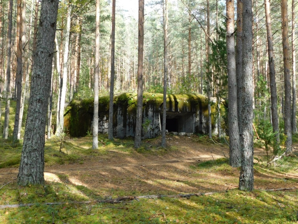 По забытым крепостям