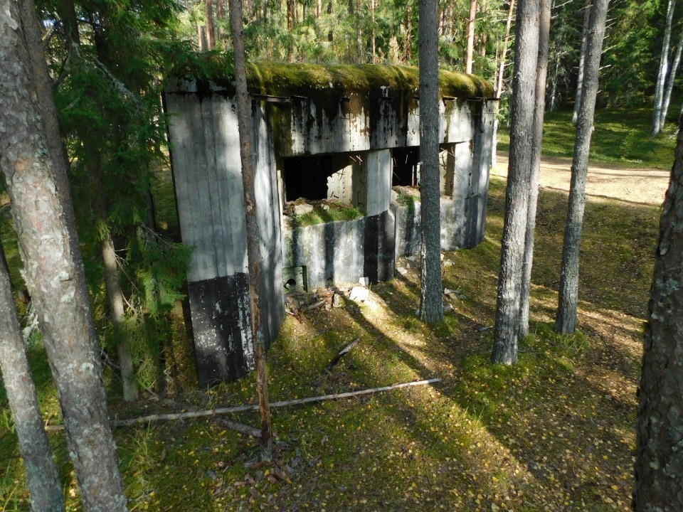 По забытым крепостям