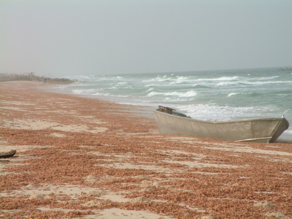 Крылья Псковской области