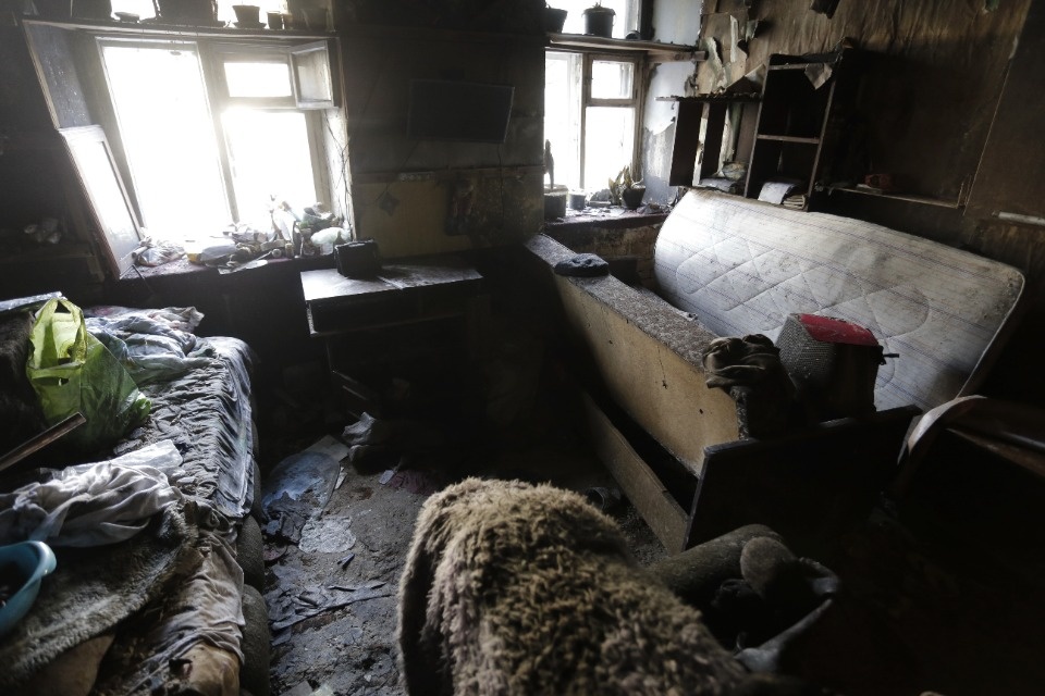 Ночевал в машине с двумя кошками