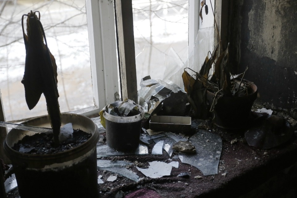 Ночевал в машине с двумя кошками