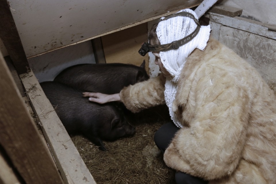 Ночевал в машине с двумя кошками