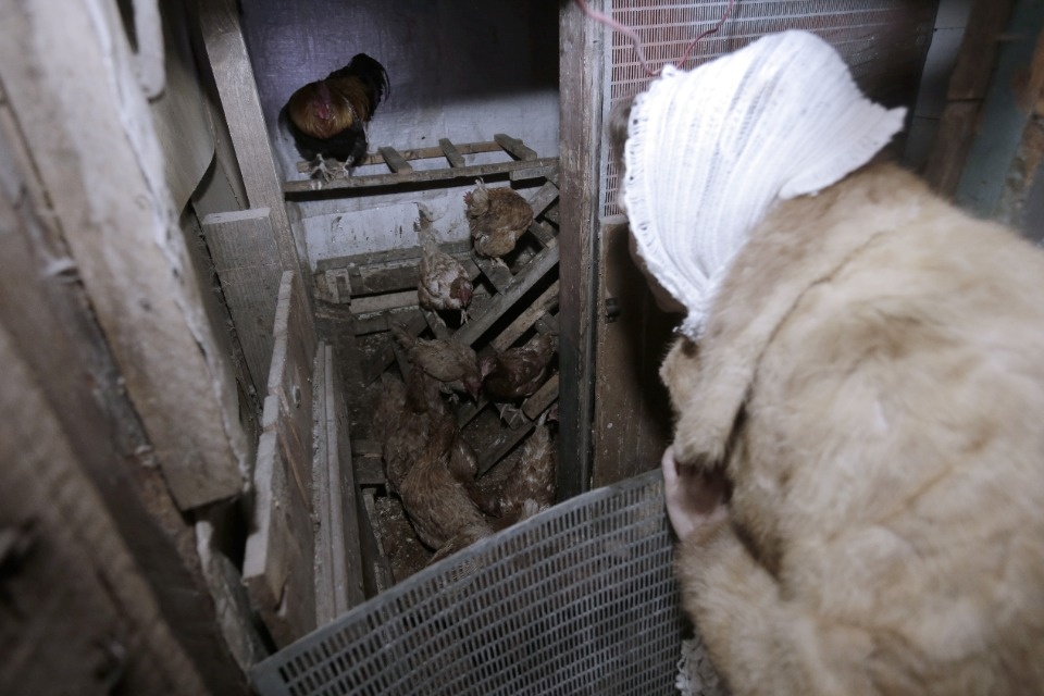 Ночевал в машине с двумя кошками