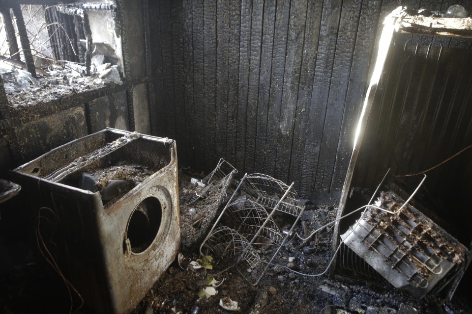 Ночевал в машине с двумя кошками