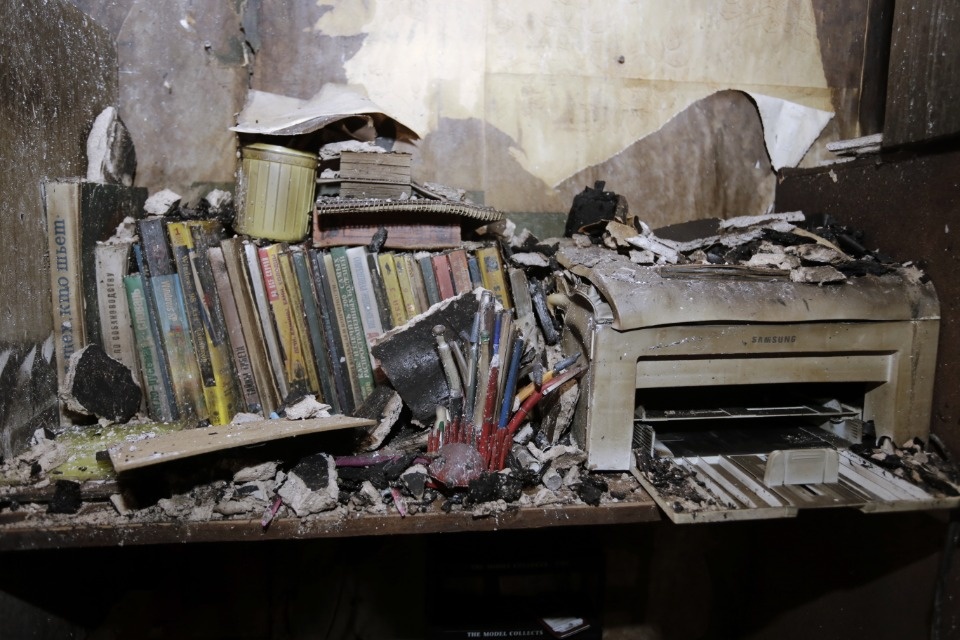 Ночевал в машине с двумя кошками