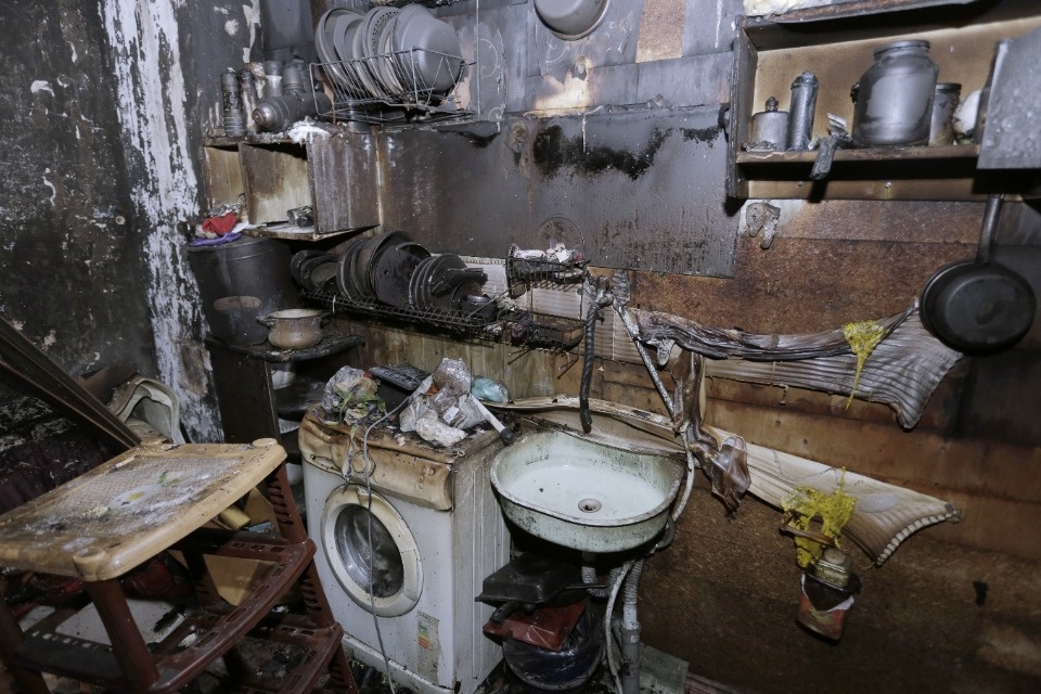 Ночевал в машине с двумя кошками